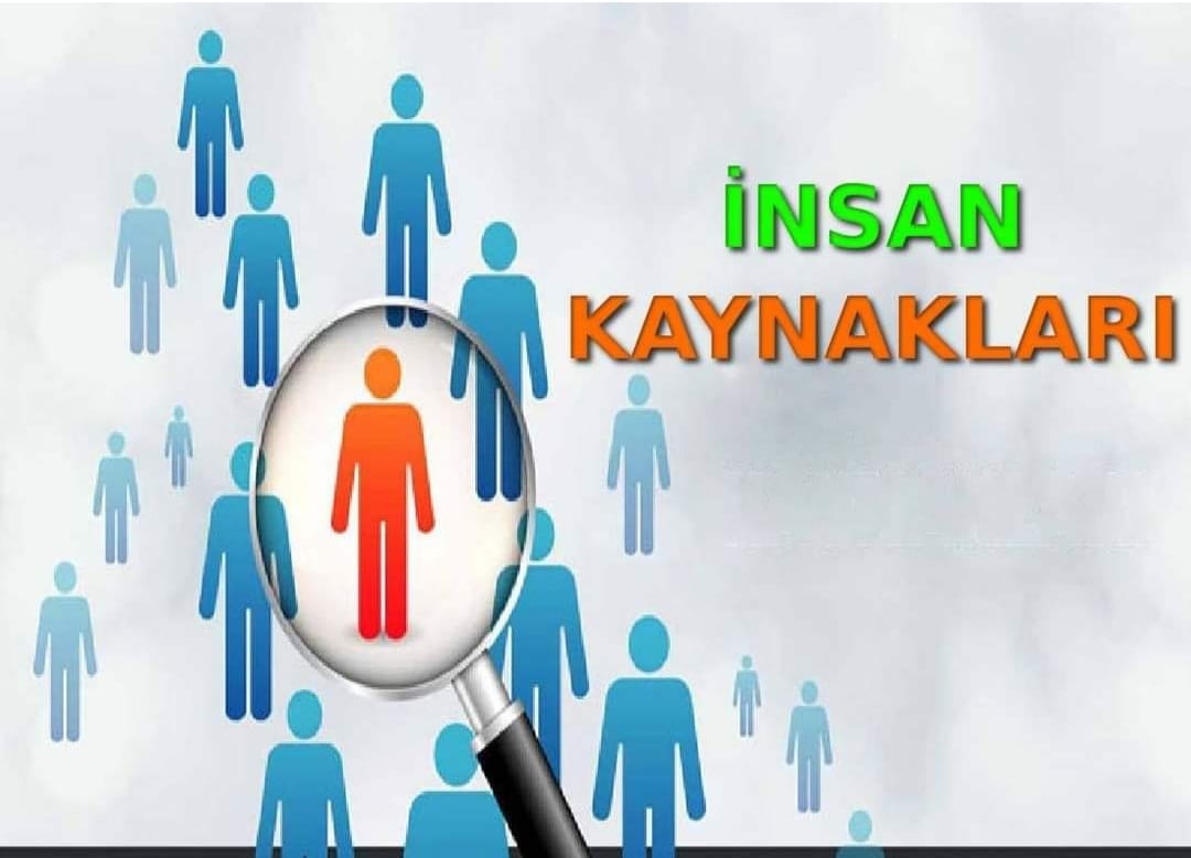 İnsan Kaynakları