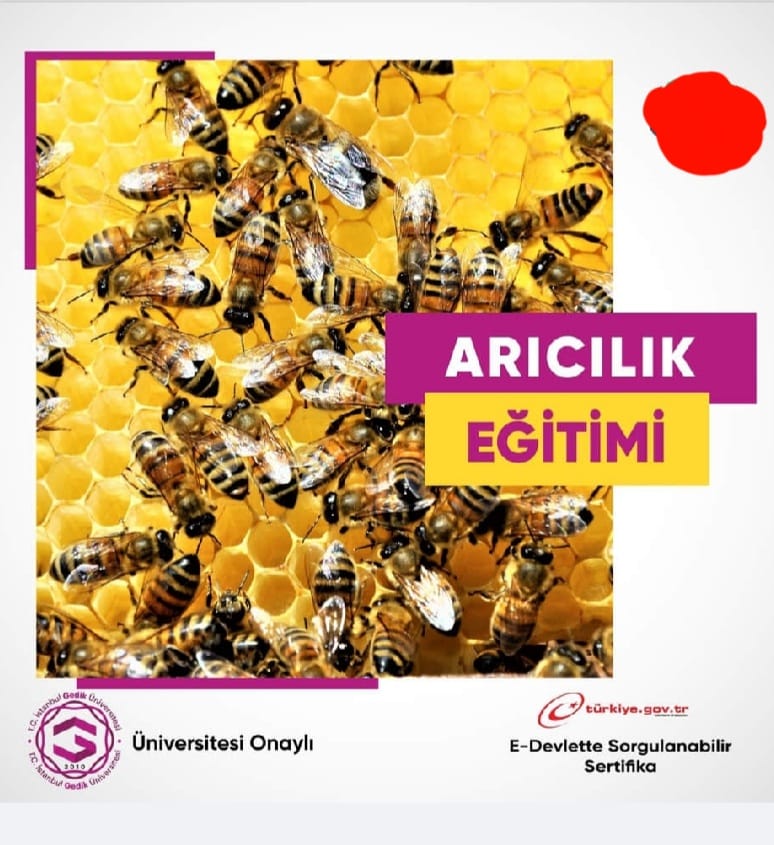 Arıcılık Eğitimi